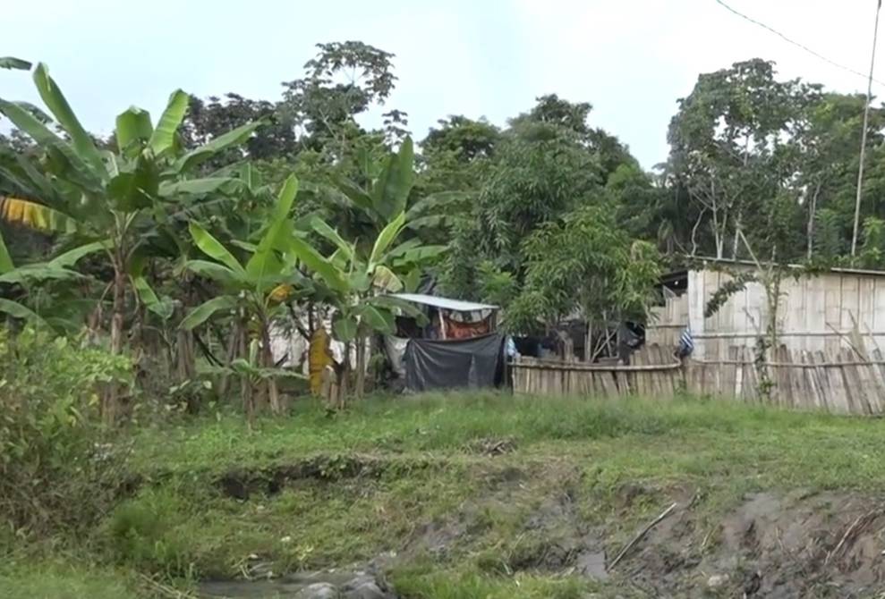 Tres jóvenes fueron acribillados en vivienda en Naranjal