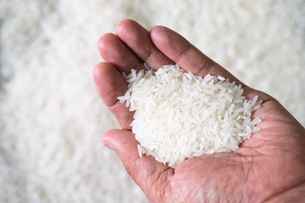 Ecuador importará 60 mil toneladas de arroz de Uruguay