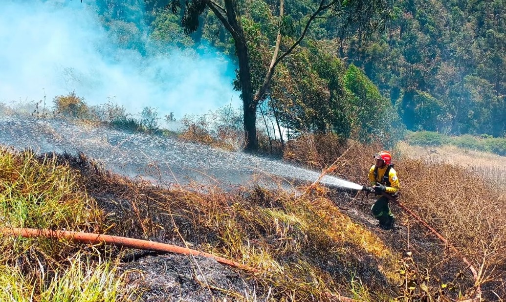 Quito Reporta 79 Incendios Forestales En Lo Que Va Del 2023