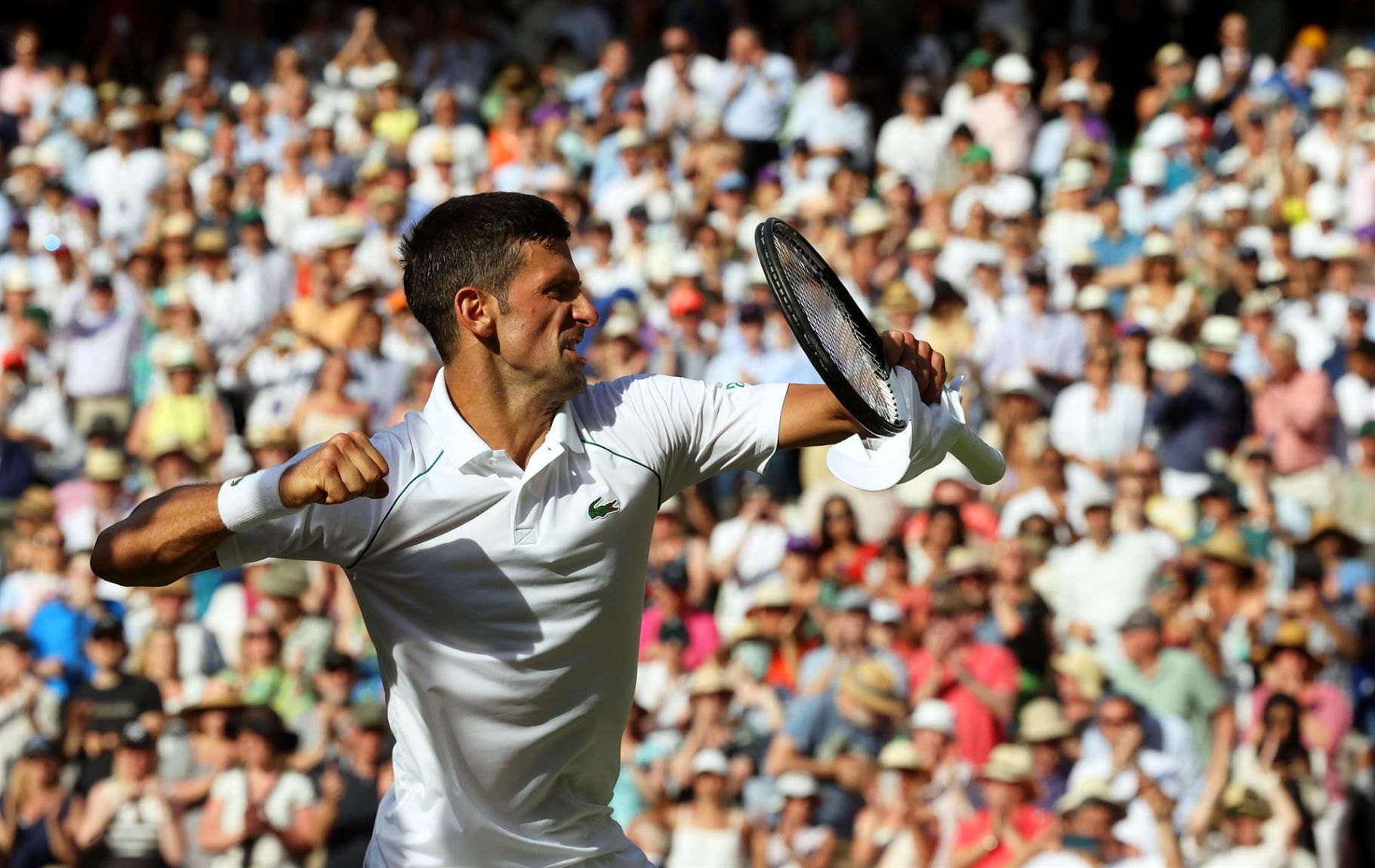 Djokovic, finalist in Wimbledon, after beating Norrie