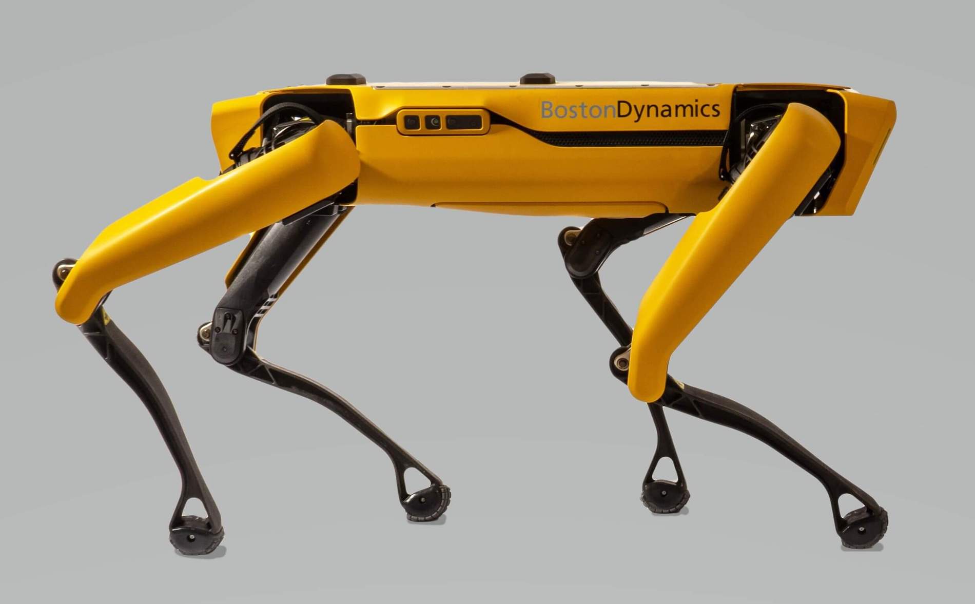 El perro robot de Boston Dynamics ahora habla y puede hacer de