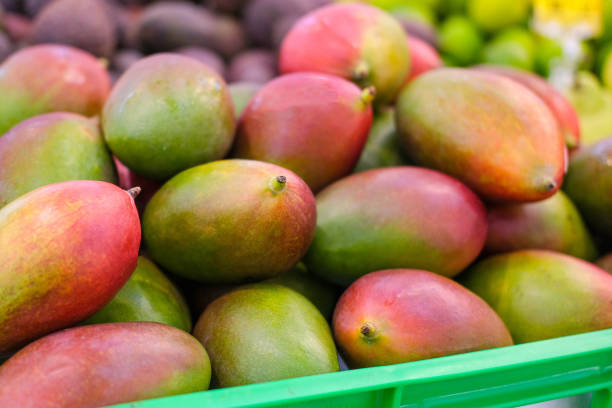 Ecuador will export mangoes to South Korea
 – 2024-05-01 09:08:08